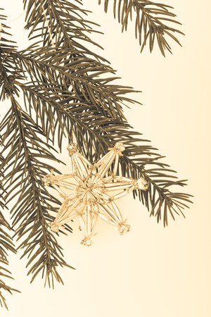 decoration on Christmas tree isolatedの写真素材