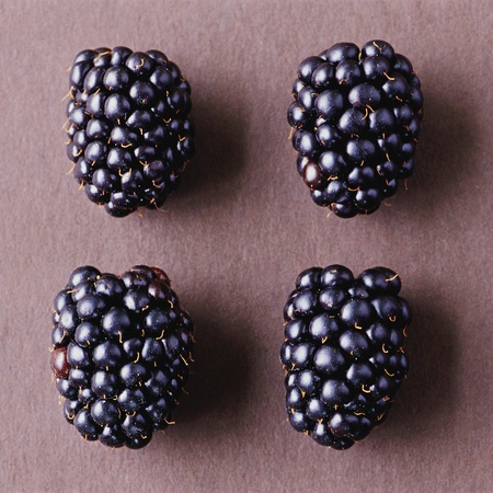 fresh blackberries