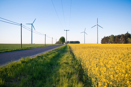 windmill  farm in the field during springtimeの写真素材