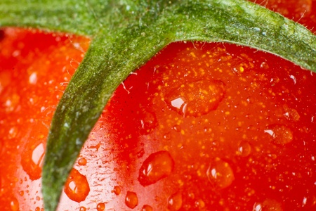 macro of tomato covered with water dropsの写真素材