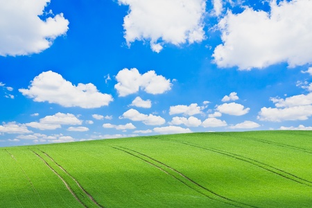 beautiful green field during springtimeの写真素材