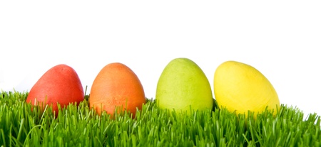 easter eggs hidden in the grass