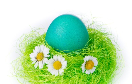 painted easter egg in a nest