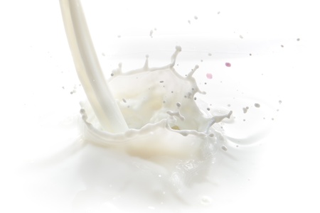 pouring milk splash isolated on white backgroundの写真素材