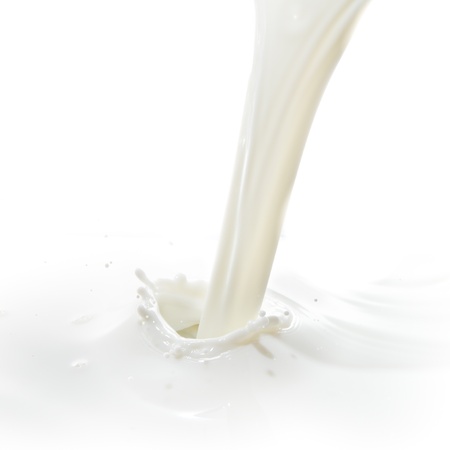 pouring milk splash isolated on white backgroundの写真素材