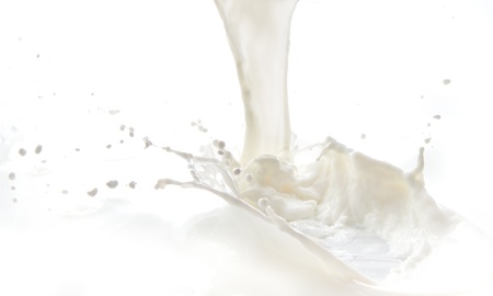 pouring milk splash isolated on white backgroundの写真素材