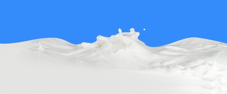 splashing milk isolated on blue backgroundの写真素材