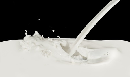 splashing milk isolated on black backgroundの写真素材