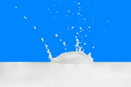 splashing milk isolated on blue backgroundの写真素材