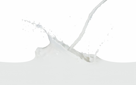 splashing milk isolated on white backgroundの写真素材