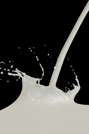 splashing milk isolated on black backgroundの写真素材