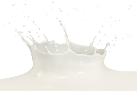 splashing milk isolated on white backgroundの写真素材