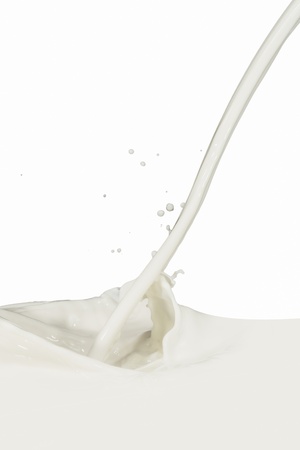 splashing milk isolated on white backgroundの写真素材