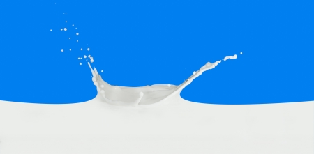 splashing milk isolated on blue backgroundの写真素材