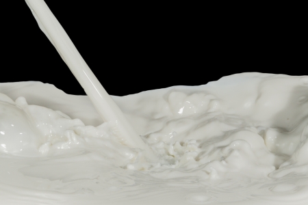 splashing milk isolated on black backgroundの写真素材