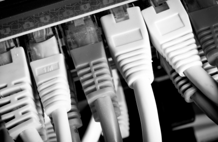 close up of network cables connected to switch