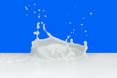 splashing milk isolated on blue backgroundの写真素材