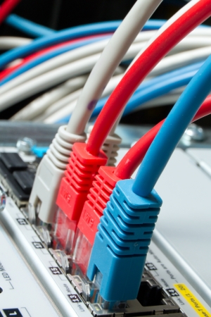 close up of network cables connected to switch