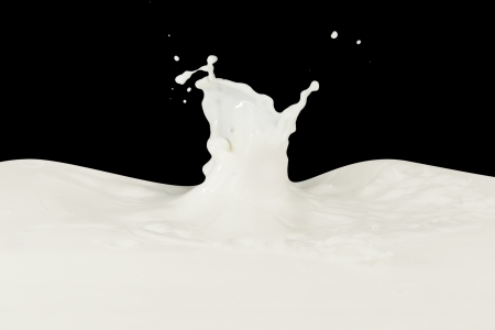 splashing milk isolated on black backgroundの写真素材