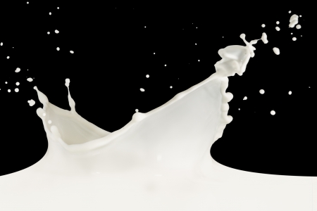 splashing milk isolated on black backgroundの写真素材