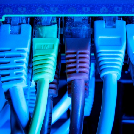 close up of network cables connected to switch