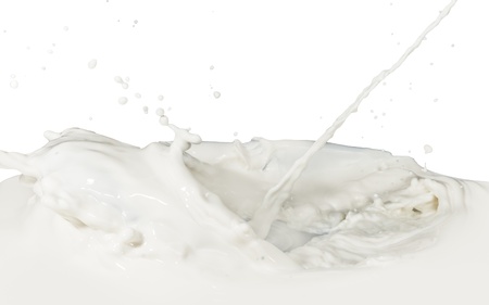 splashing milk isolated on white backgroundの写真素材