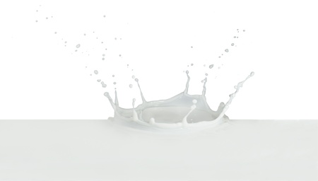 splashing milk isolated on white backgroundの写真素材