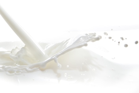 pouring milk splash isolated on white backgroundの写真素材