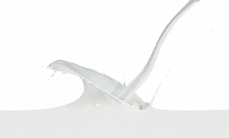 splashing milk isolated on white backgroundの写真素材