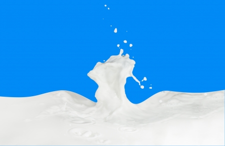 splashing milk isolated on blue backgroundの写真素材