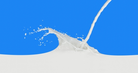 splashing milk isolated on blue backgroundの写真素材