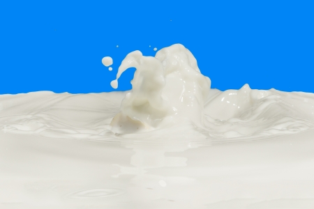 splashing milk isolated on blue backgroundの写真素材