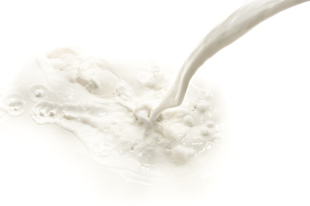 splashing milk on white backgroundの写真素材