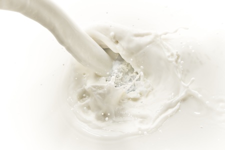 splashing milk on white backgroundの写真素材