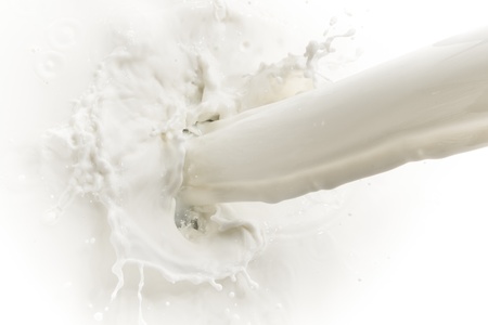 splashing milk on white backgroundの写真素材