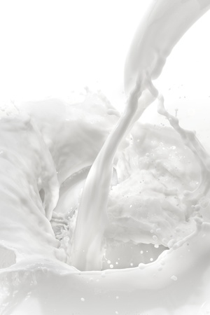 splashing milk on white backgroundの写真素材