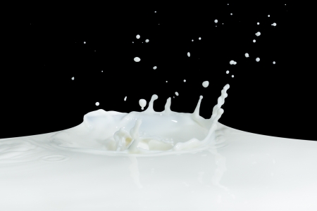 splashing milk isolated on black backgroundの写真素材