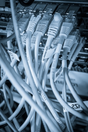 close-up of network hub and ethernet cablesの写真素材