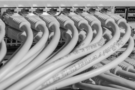 network cables connected to switch - closeup of data center hardware