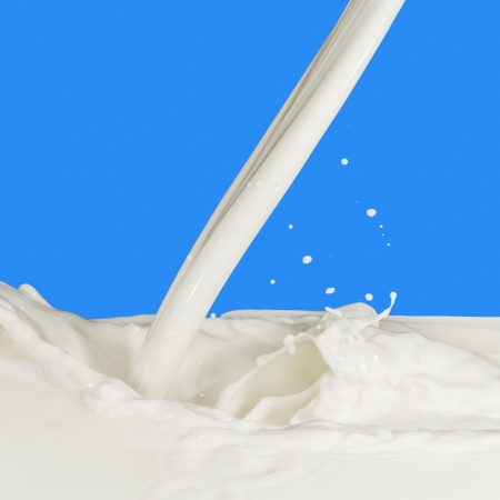 splashing milk isolated on blue backgroundの写真素材