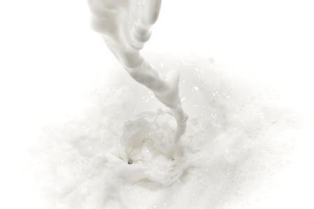 splashing milk on white backgroundの写真素材