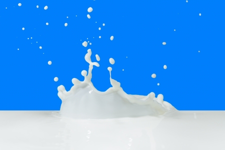 splashing milk isolated on blue backgroundの写真素材