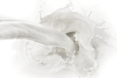 splashing milk on white backgroundの写真素材