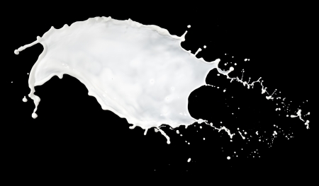 milk splash isolated on black の写真素材