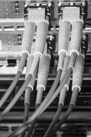 network cables connected to switch - closeup of data center hardwareの写真素材