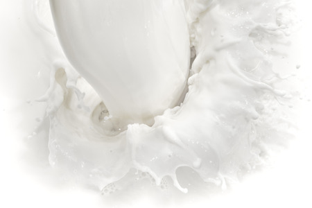 splashing milk on white backgroundの写真素材