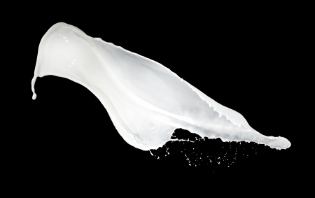 milk splash isolated on black backgroundの写真素材