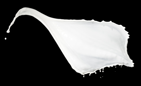 milk splash isolated on black backgroundの写真素材