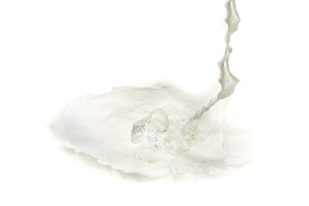 splashing milk on white backgroundの写真素材