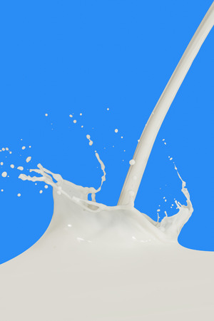 splashing milk isolated on blue backgroundの写真素材